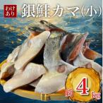 ふるさと納税 いすみ市 【訳あり】銀鮭カマ(小) 約4kg
