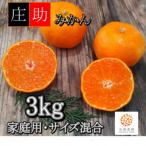 〈先行受付〉有田 庄助みかん約3kg 品