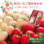 紅白いちご とちあいか ミルキーベリー 詰め合わせ 300g×2…