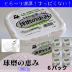 球磨の恵ヨーグルト 6kg
