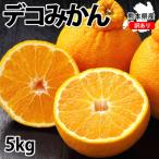 訳あり デコみかん 5kg