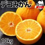 ふるさと納税 宇城市 訳あり デコみかん 10kg 【2026年1月下旬から2026年4月下旬発送予定】(宇城市)