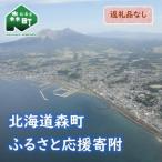 森町への寄付（返礼品なし）