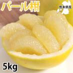 パール柑 5kg