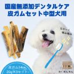 デンタルケアに天然鹿の皮ガムセット中型犬用