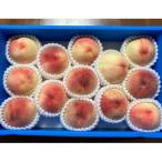 ふるさと納税 由良町 和歌山県産の桃 約4kg(11〜15個) [2026年7月上旬〜8月中旬発送]