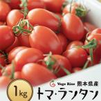 ミニトマト トマランタン 1kg