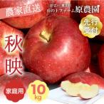 ふるさと納税 豊丘村 【丘の上ファーム】りんご「秋映」10kg(22〜36玉) 家庭用 2025年9〜10月発送