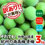 青梅 南高梅 約3kg