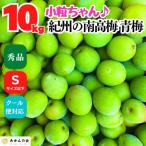 南高梅 青梅 秀品 小粒ちゃん 10kg