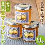 isa550 手作りはちみつ入り日向夏マーマレード 計9個