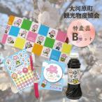 観光物産協会 特産品Bセット