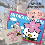 ӂ邳Ɣ[ ͌ ͌όPRLN^[u[vObYBZbg[53751016]