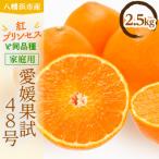 愛媛果試48号 紅プリンセスと同品種 YWTAS050