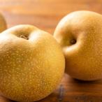 ショッピングふるさと納税 梨 ふるさと納税 若桜町 プレミアム秋甘泉 5kg