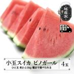 fu.... налог хвост цветок . город [ предшествующий прием ] маленький шар арбуз Pinot девушка ( примерно 2~2.5kg)×4 шар . мир 8 год производство kb-supgx4