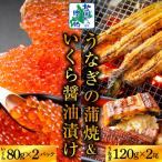 ふるさと納税 泉佐野市 五郎藤 国産 関西風 地焼き有頭旨鰻120g×2尾 いくら醤油漬け80g×2パック 020C404
