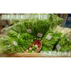 新鮮アジア野菜 大満足セット