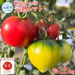 fu.... налог земля . город .. помидор .. Chan помидор примерно 1.5kg(750g×2 коробка ) сахар раз 7.0~8.9 раз 