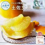 ふるさと納税 土佐市 マルツジ果樹園の土佐文旦 小玉 訳あり品(約5kg)