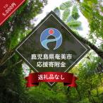 奄美市への寄付（返礼品なし）