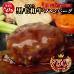 くまもと黒毛和牛ハンバーグ くまもとDREAMバーグ 計750g