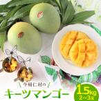 ふるさと納税 今帰仁村 【先行受付・2026年9月から順次発送】山城フルーツ園の幻のキーツマンゴー1.5kg(2〜3玉)
