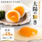 産のたまごセット 太陽の輝き 白玉 48個