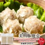 美明豚 びめいとんのジューシー焼売 20個×2袋