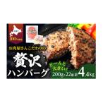 ふるさと納税 幕別町 北海道 十勝牛 手ごねハンバーグ 200g×22個 [53691498]