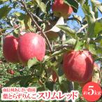 葉とらずりんご スリムレッド 約5kg