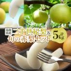 ショッピングふるさと納税 梨 ふるさと納税 智頭町 二十世紀梨と旬の赤梨セット 5kg