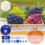 ふるさと納税 津山市 岡山 花笑み農園のブドウ『食べ比べ4種』シャイン入り2kg(4房)優品 4M-2優【9月中旬〜出荷】