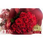 大輪のバラの花束 赤 20本