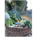 栽培期間中 農薬不使用 季節のお野菜セット