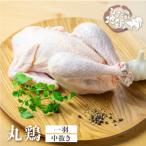 飛騨地鶏の丸鶏1羽