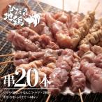 飛騨地鶏の焼き鳥バラエティセット20本
