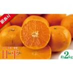 ショッピング甘平 ふるさと納税 松山市 愛媛県松山市 甘平(かんぺい) 約2kg(訳あり)