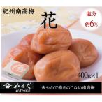 紀州南高梅 花 塩分約6% 500g