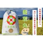 のブランド米 雪若丸 玄米 10kg