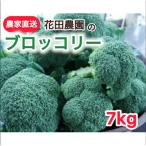 朝採れ 農家直送ブロッコリー 20個