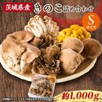 fu.... налог Ibaraki префектура Ibaraki префектура замок . блок производство .. это набор S размер примерно 1kg