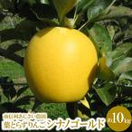 葉とらずりんご シナノゴールド 約10kg