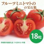 フルーツミニトマトの宝石箱18粒 共通返礼品:つくばみらい市