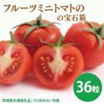 フルーツミニトマトの宝石箱 36粒