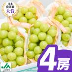 ふるさと納税 中野市 【2026年発送】旬のシャインマスカット4房セット(2kg以上)JA中野市からの産直品