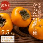訳あり ひらたねなし柿 7.5kg