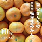 ふるさと納税 八幡浜市 【創業85年 親子4代 愛媛みかん 一筋】愛媛八幡浜産 訳あり極早生みかん 10kg【D20-47】