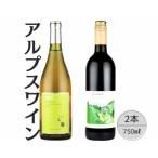 アルプスワイン デラウェア こもれびのベーリーA2本セット