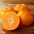 農家直送 完熟 有田みかん 3kg